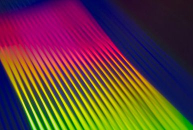 phỏm di động Jun88